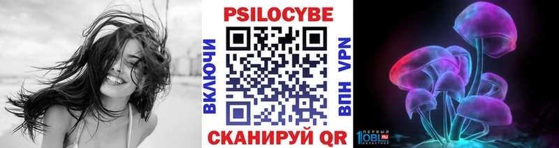Псилоцибиновые грибы MAGIC MUSHROOMS  дарнет шоп  Пыталово 